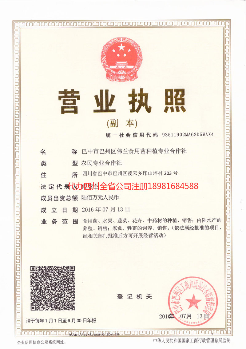 常宁常宁伟兰食用菌种植专业合作社